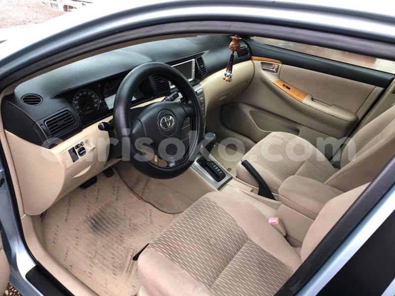 Big with watermark z7