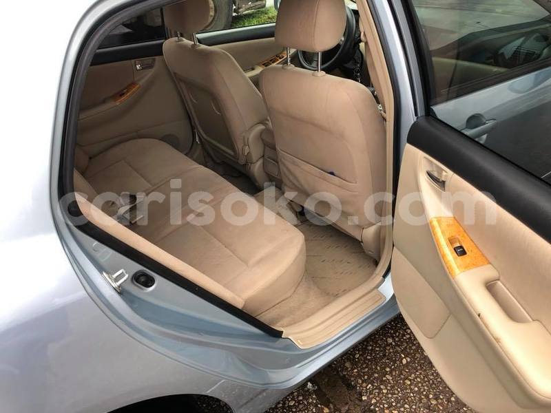 Big with watermark z10