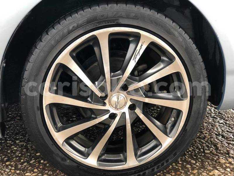 Big with watermark z11