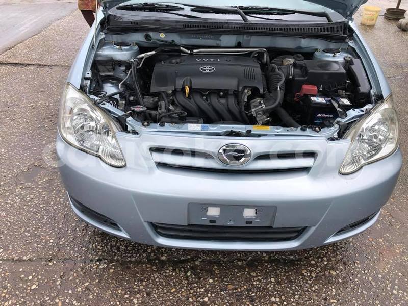 Big with watermark z12