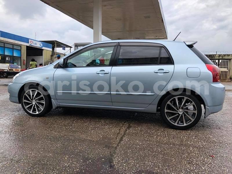 Big with watermark z