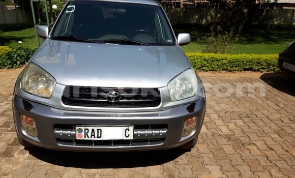 Buy Used Toyota RAV4 Silver Car in Kigali in Rwanda Buy Used Toyota RAV4 Silver Car in Kigali in Rwanda