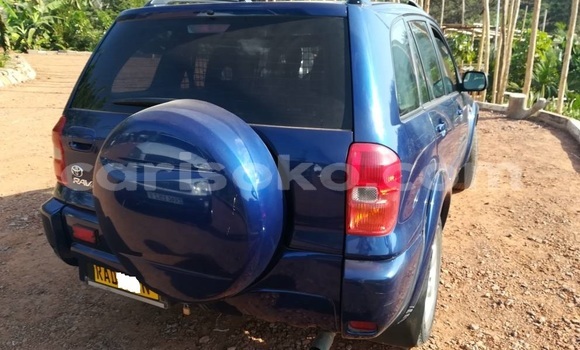 Buy Used Toyota RAV4 Blue Car in Kigali in Rwanda Buy Used Toyota RAV4 Blue Car in Kigali in Rwanda