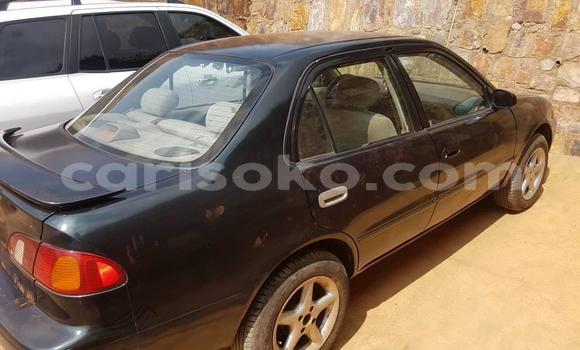 Buy Used Toyota Corolla Black Car in Kigali in Rwanda Buy Used Toyota Corolla Black Car in Kigali in Rwanda