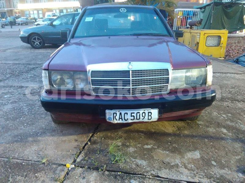 Big with watermark 17795701 10206966928850318 4670280897170890025 n