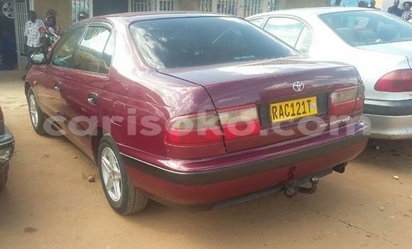 Acheter Occasion Voiture Toyota Carina Rouge à Gicumbi au Rwanda Acheter Occasion Voiture Toyota Carina Rouge à Gicumbi au Rwanda