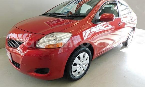 Buy Used Toyota Yaris Red Car in Kigali in Rwanda Buy Used Toyota Yaris Red Car in Kigali in Rwanda
