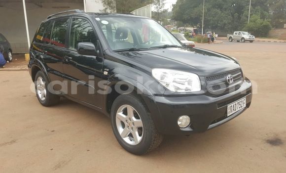 اشتري جديد Toyota RAV4 Noir سيارة في Kigali في Rwanda اشتري جديد Toyota RAV4 Noir سيارة في Kigali في Rwanda