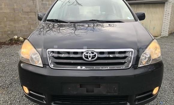 Buy Used Toyota Corolla Black Car in Kigali in Rwanda Buy Used Toyota Corolla Black Car in Kigali in Rwanda
