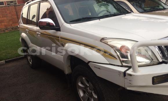 Buy Used Toyota Land Cruiser Prado White Car in Kigali in Rwanda Buy Used Toyota Land Cruiser Prado White Car in Kigali in Rwanda