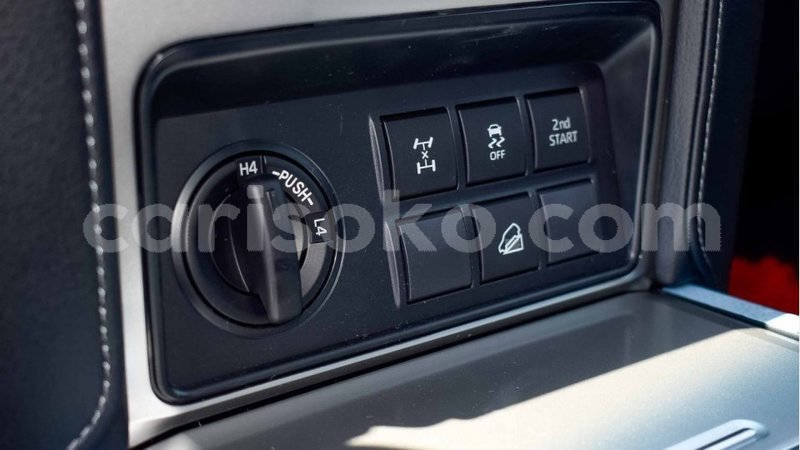 Big with watermark 13