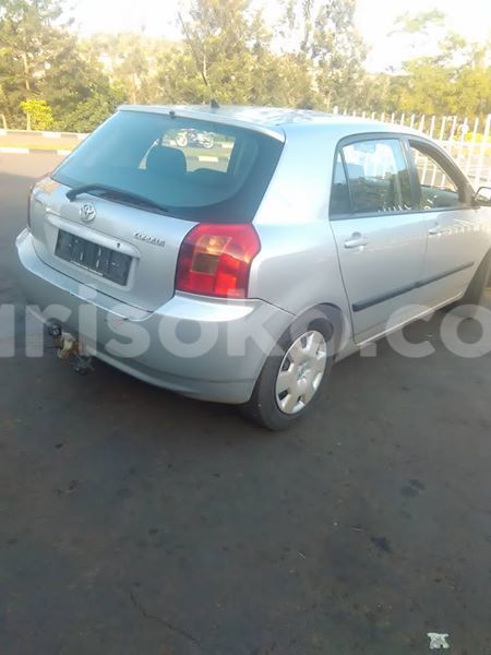 Big with watermark 18893057 674764709383871 6186651299344356953 n