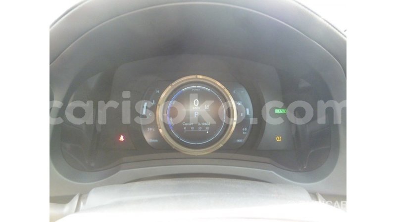 Big with watermark 0181fb75 eab7 49ac a61e ac30c46418cc