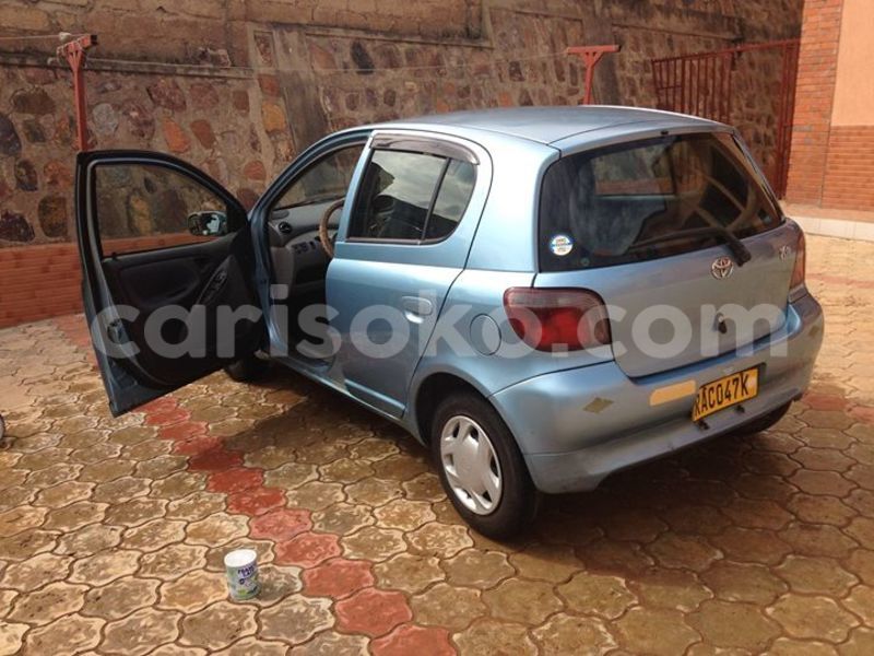 Big with watermark 19030339 709237869248804 8378660185752961642 n