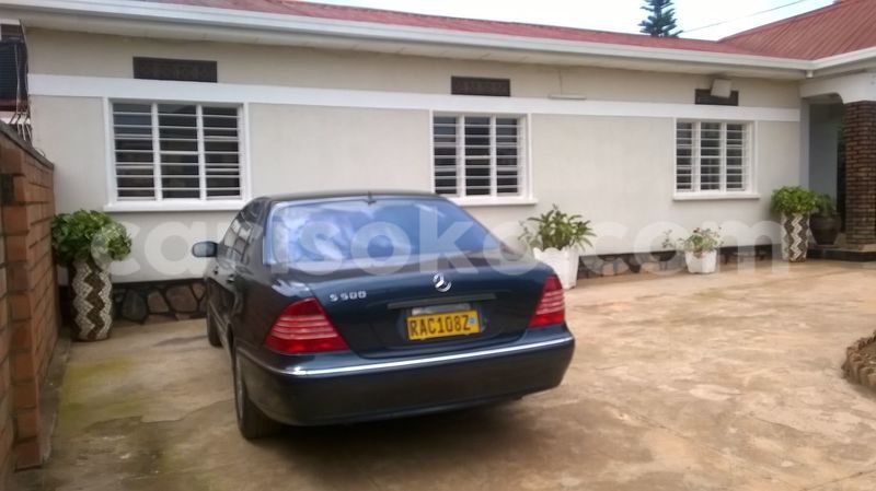 Big with watermark 19060135 594071440786994 7363552771914543692 n