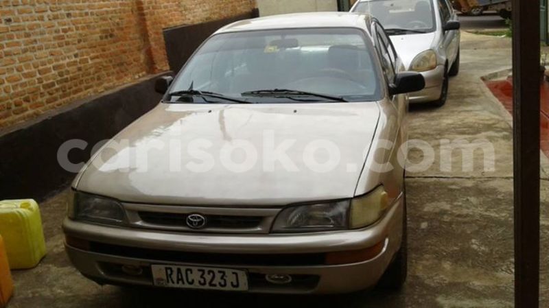 Big with watermark 19092742 10208860139452489 1447452680035931190 o