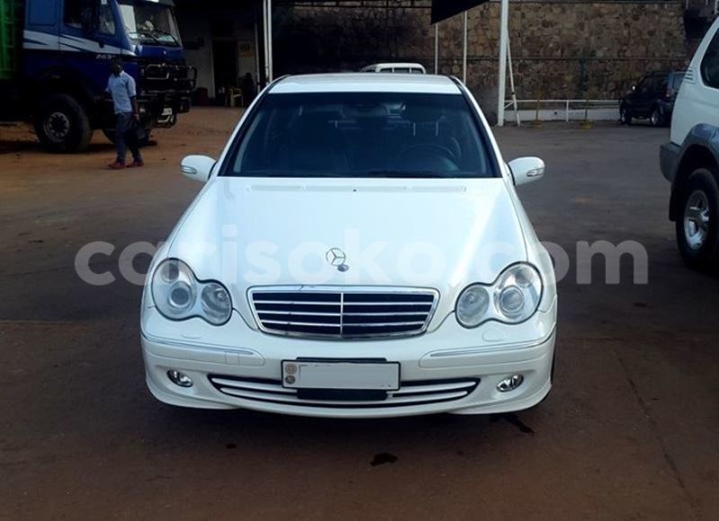 Big with watermark 19060135 594071440786994 7363552771914543692 n