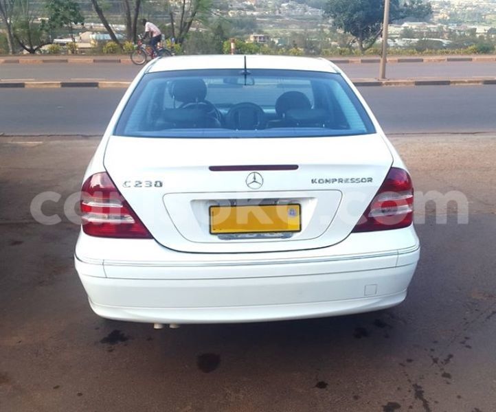 Big with watermark 19092742 10208860139452489 1447452680035931190 o