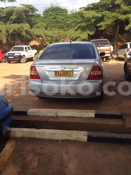 Big with watermark 19060135 594071440786994 7363552771914543692 n