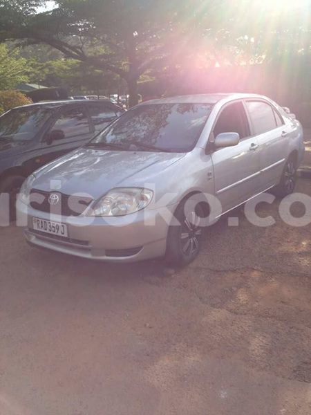 Big with watermark 19092742 10208860139452489 1447452680035931190 o