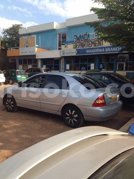 Big with watermark 19114053 594071394120332 3760186969884608897 n