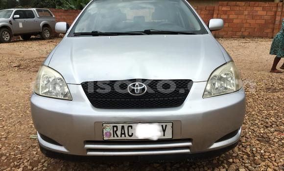اشتري مستعمل Toyota Corolla Gris سيارة في Kigali في Rwanda اشتري مستعمل Toyota Corolla Gris سيارة في Kigali في Rwanda