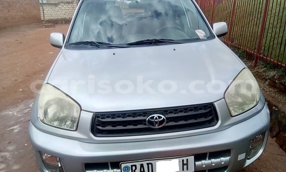 Buy Used Toyota RAV4 Silver Car in Kigali in Rwanda Buy Used Toyota RAV4 Silver Car in Kigali in Rwanda