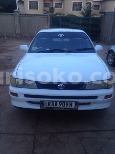 Big with watermark 18952779 709237862582138 3608237861038673941 n