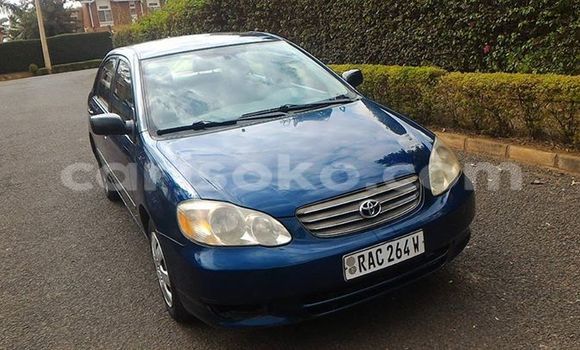 اشتري مستعمل Toyota Corolla Bleu سيارة في Gicumbi في Rwanda اشتري مستعمل Toyota Corolla Bleu سيارة في Gicumbi في Rwanda