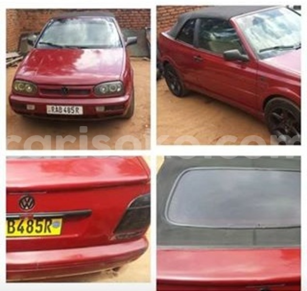 Big with watermark 18952779 709237862582138 3608237861038673941 n