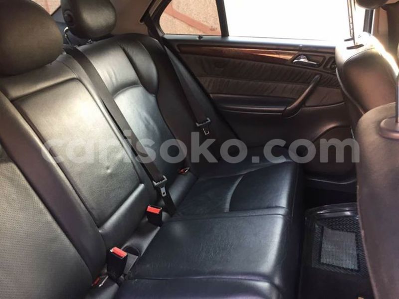 Big with watermark 18954797 10109901822210850 5806381462207131836 o