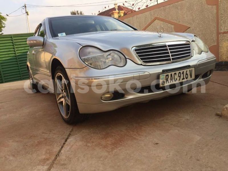 Big with watermark 19030650 709237865915471 5780759566154516871 n