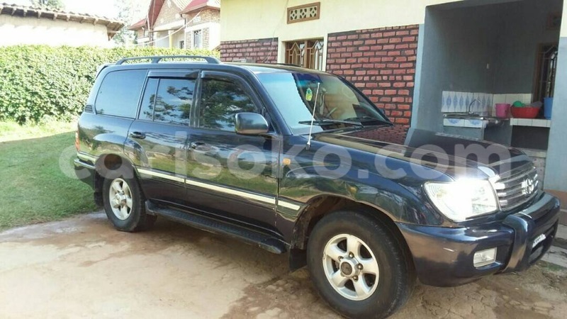 Big with watermark img 0503