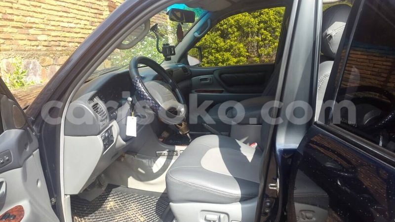 Big with watermark img 0506