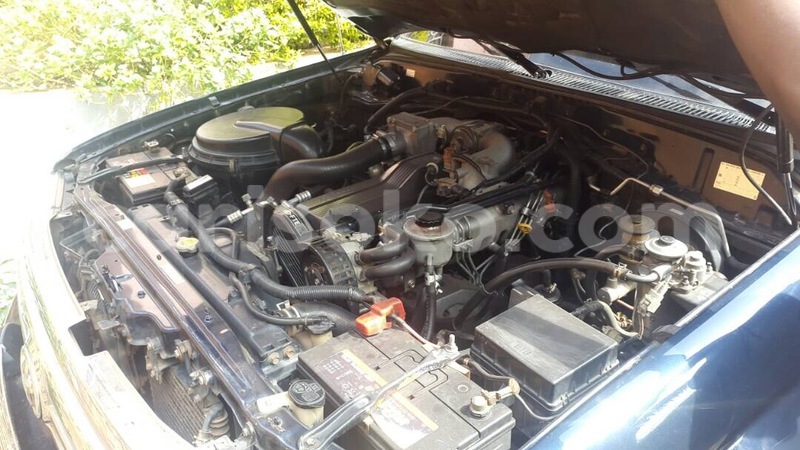 Big with watermark img 0521