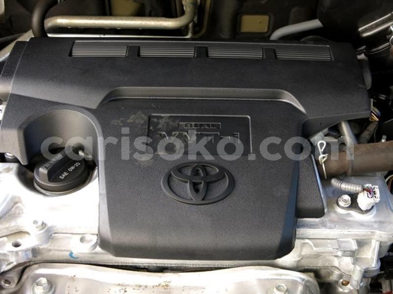 Big with watermark dd15