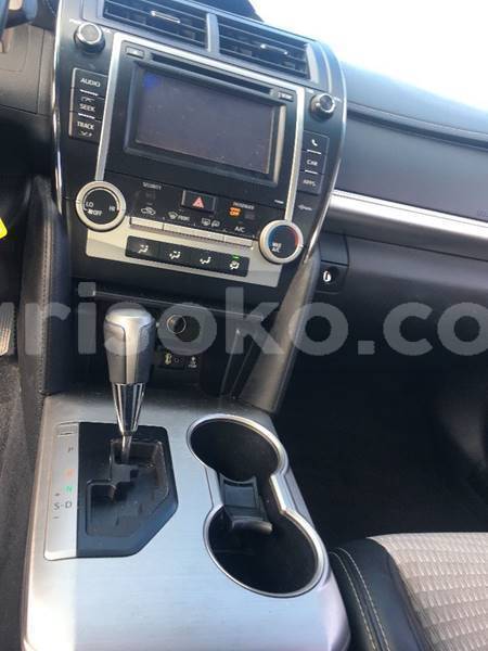 Big with watermark e11