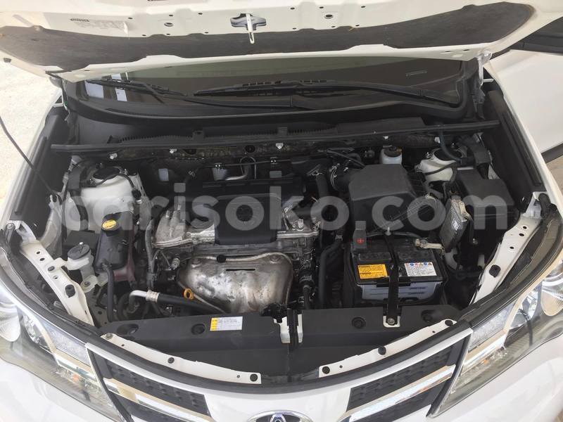 Big with watermark 20257793 881357125346553 77518217 o