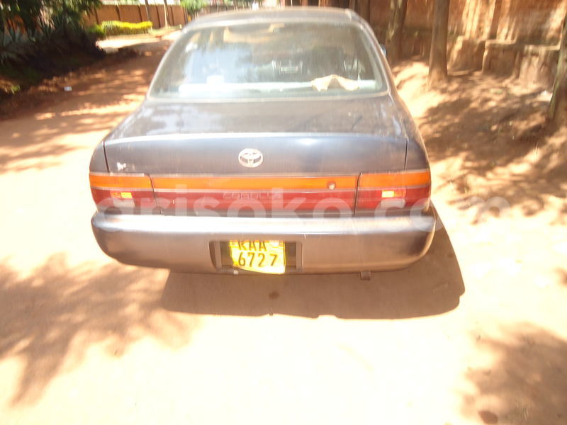 Big with watermark 0709fc98ac49 sc09258