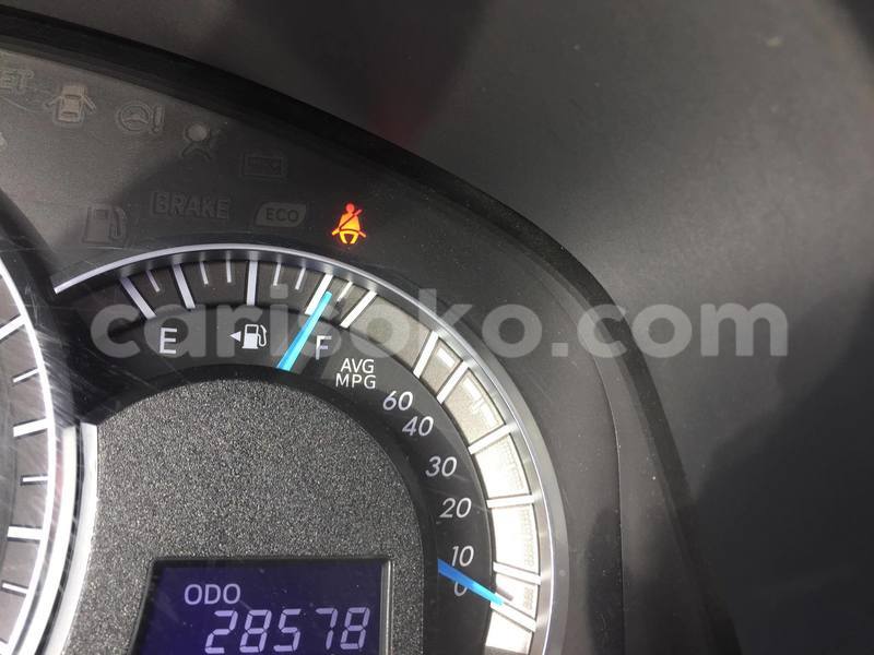 Big with watermark 20502984 885429694939296 1330692602 o