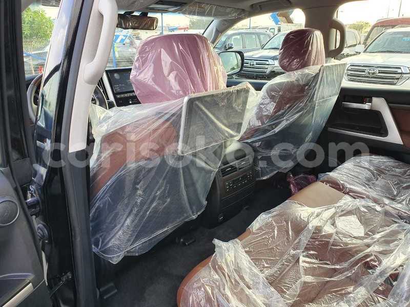 Big with watermark 11