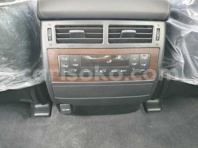 Big with watermark 12