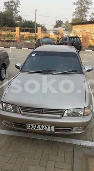 Big with watermark 20479507 643121139217956 6135447249838749121 n