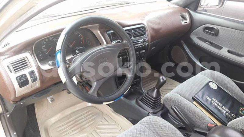 Big with watermark 20507784 10213595146891430 3142303441178211230 o