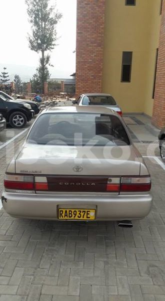 Big with watermark 20507624 10213595147931456 271286368842879963 o