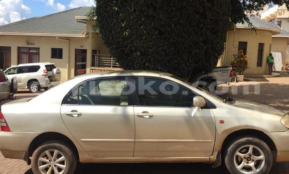 اشتري مستعمل Toyota Corolla Marron سيارة في Kigali في Rwanda اشتري مستعمل Toyota Corolla Marron سيارة في Kigali في Rwanda