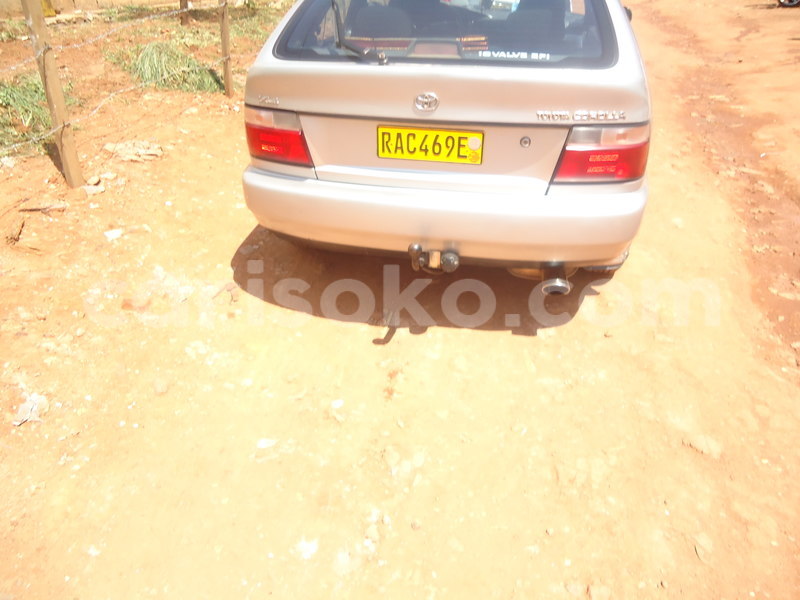 Big with watermark 8b4d98902565 sc09273