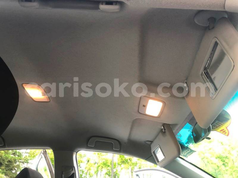 Big with watermark 1378041524