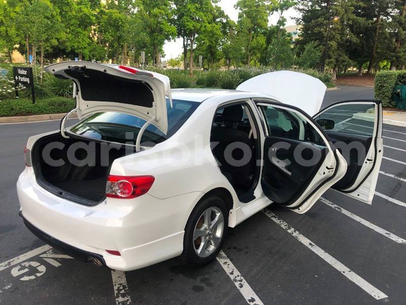 Big with watermark 1378041717