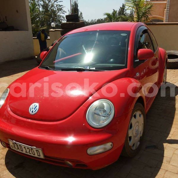 Big with watermark 18952779 709237862582138 3608237861038673941 n